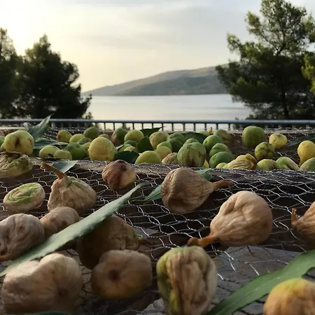 아파트 By The Sea Poljica, Trogir - 11934